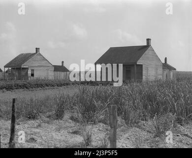 Cabines pour les travailleurs de la canne à sucre. Bayou la Fourche, Louisiane. Banque D'Images