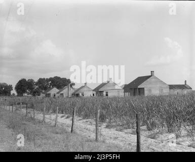 Cabines pour les travailleurs de la canne à sucre. Bayou la Fourche, Louisiane. Banque D'Images