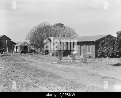 Réhabilitation rurale, comté de Tulare, Californie. En 1936, cette famille était en secours. Avec un prêt de sept cent quatre-vingt dollars de l'Administration de la sécurité agricole (FSA), ils ont pu acheter et installer une pompe d'irrigation pour le vignoble, une équipe, et le solde leur a donné des frais de subsistance et d'exploitation pour la première saison de raisin. Cette maison que la famille vient de terminer la construction est faite de briques en adobe, en argile sur la ferme. Le coût en espèces de la construction de la maison était d'environ six cents dollars. Banque D'Images