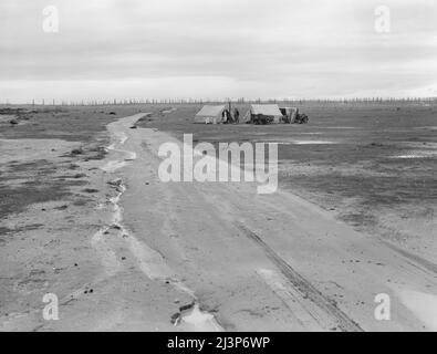 Kern County, Californie. Camp de deux familles apparentées vues des États-Unis 99. Champ d'huile au-delà de. Venu en Californie en 1920 du Missouri. Le père avait un emploi depuis huit ans. Était contremaître de gang sur l'aqueduc de Los Angeles; mis à pied il y a deux mois. Maintenant en route vers le nord à la recherche de travail. Ne souhaite pas passer à l'administration des projets professionnels (WPA). Banque D'Images