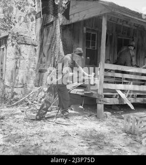 Dans les collines de l'Arkansas (Ozarks) près de Seligman, Missouri, en divisant le noyer pour les fonds de chaise. Son père devant lui et son fils après lui font des meubles pour une vie. Banque D'Images