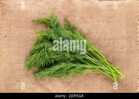 Un bouquet d'aneth vert frais sur toile de jute, macro, vue de dessus. Banque D'Images