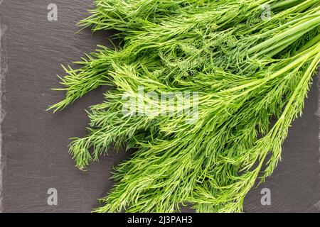 Un bouquet d'aneth vert frais sur une pierre d'ardoise, macro, vue de dessus. Banque D'Images