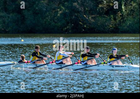 Drinagh, West Cork, Irlande. 9th avril 2022. Le Skibbereen Rowing Club a tenu aujourd'hui une régate de 1km sur le lac Drinagh. Des clubs de l'autre côté de Munster ont assisté à ce qui était une journée très ensoleillée et chaude. Les Quads en boîte Muckross 'A' sont en compétition dans une course de J15. Crédit : AG News/Alay Live News Banque D'Images