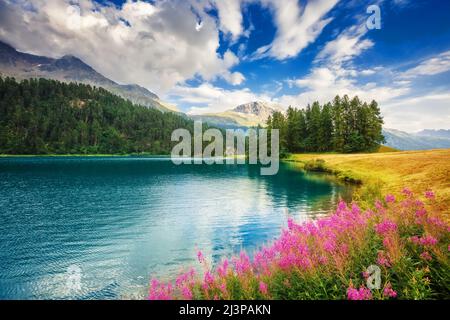 Vue fantastique sur l'étang d'azure Champfer. Scène pittoresque. Lieu: Village de Silvaplana, district de Maloja dans le canton suisse de Graubunde Banque D'Images