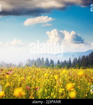 Green Hills fantastique par rougeoyant du soleil chaud, au crépuscule. Pittoresque et dramatique de la scène du matin. Lieu Lieu : Carpathian, l'Ukraine, l'Europe. Artis Banque D'Images