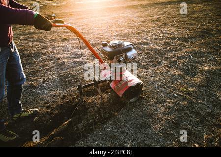 l'homme cultive le sol dans le jardin avec un timon préparant le sol pour le semis Banque D'Images