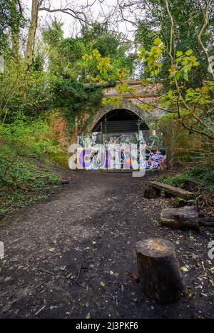 Dulwich, Londres, Royaume-Uni: L'entrée d'un tunnel ferroviaire désutilisé à Sydenham Hill Wood. Le chemin de fer était autrefois de Lordship Lane à Crystal Palace. Banque D'Images