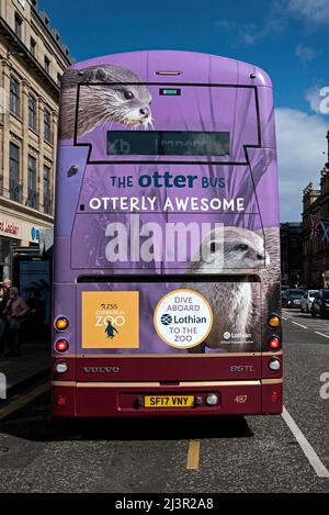 Le bus Otter, le zoo d'Édimbourg annonce avec des loutres à l'arrière d'un bus Lothian sur Princes Street, Edimbourg, Écosse, Royaume-Uni. Banque D'Images