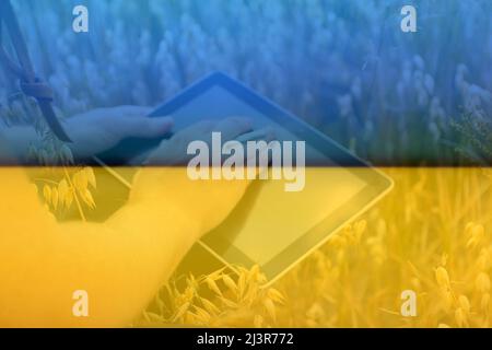 Ukraine Defocus gros plan des mains de jeunes agriculteurs tenant une tablette. Contrôle de la progression de la récolte au champ d'avoine dorée. Le travailleur suit la croissance Banque D'Images
