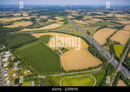 Vue aérienne, jonction Kamener avec autoroute A1 et autoroute A2, Kamen, région de la Ruhr, Rhénanie-du-Nord-Westphalie, Allemagne, Luftbild, Kamener Kreuz mit Autobah Banque D'Images