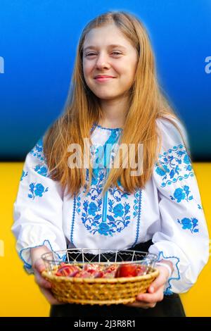 Recentrer la jeune fille ukrainienne dans vyshyvanka tenant le panier d'oeufs rouges colorés sur fond de drapeau ukrainien. Pâques, Ukraine. Œufs peints artisanaux. Collection Banque D'Images