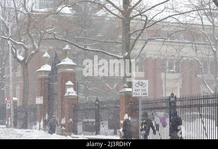 Scène hivernale enneigée du campus de l'Université Harvard à Cambridge, Massachusetts, avec des bâtiments architecturaux historiques pendant une tempête de neige hivernale. Banque D'Images