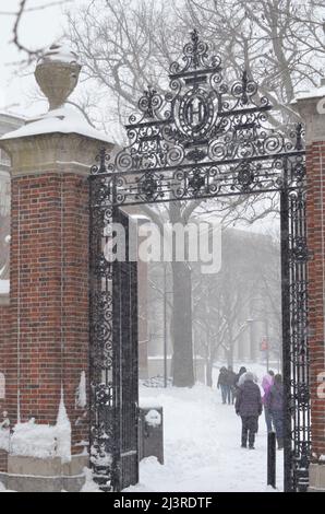 Scène hivernale enneigée du campus de l'Université Harvard à Cambridge, Massachusetts, avec des bâtiments architecturaux historiques pendant une tempête de neige hivernale. Banque D'Images