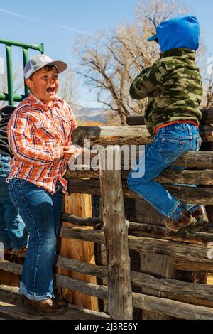 Ranch enfants jouant à l'événement de marquage de printemps sur le Hutchinson Ranch près de Salida: Colorado; USA Banque D'Images