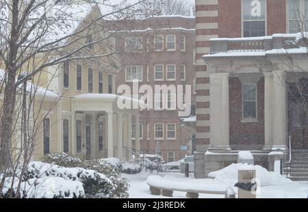 Scène hivernale enneigée du campus de l'Université Harvard à Cambridge, Massachusetts, avec des bâtiments architecturaux historiques pendant une tempête de neige hivernale. Banque D'Images