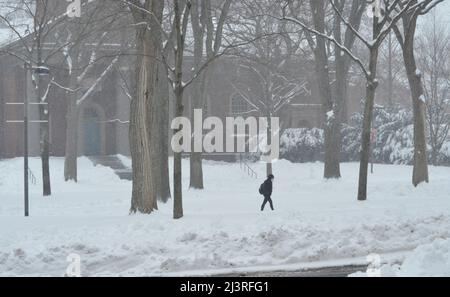 Scène hivernale enneigée du campus de l'Université Harvard à Cambridge, Massachusetts, avec des bâtiments architecturaux historiques pendant une tempête de neige hivernale. Banque D'Images