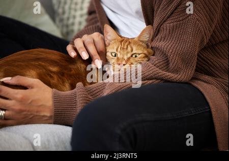 C'est sûr que c'est comme à la maison. Photo d'une jeune femme qui se joint à son chat tout en étant assise à la maison. Banque D'Images