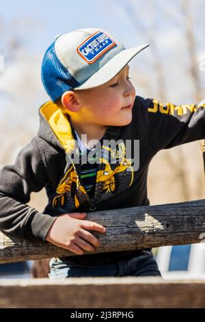 Ranch enfants jouant à l'événement de marquage de printemps sur le Hutchinson Ranch près de Salida: Colorado; USA Banque D'Images