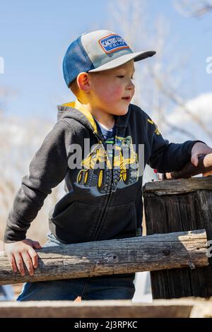 Ranch enfants jouant à l'événement de marquage de printemps sur le Hutchinson Ranch près de Salida: Colorado; USA Banque D'Images