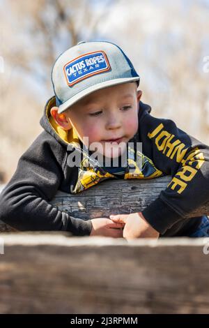 Ranch enfants jouant à l'événement de marquage de printemps sur le Hutchinson Ranch près de Salida: Colorado; USA Banque D'Images