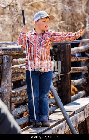 Ranch enfants jouant à l'événement de marquage de printemps sur le Hutchinson Ranch près de Salida: Colorado; USA Banque D'Images