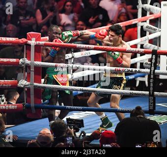 SAN ANTONIO, TX - 8 AVRIL : (R-L) Ryan Garcia combat Emmanuel Tagoe lors de leur combat léger au stade Alamodome, le 9 avril 2022, à San Antonio, Texas, Etats-Unis (photo par Mikael Ona /PxImages) crédit: PX Images/Alamy Live News Banque D'Images