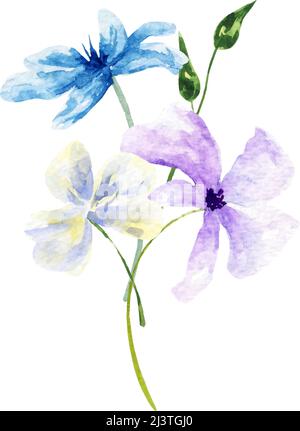 Décoration isolée sur fond blanc, bouquet de composition sauvage.bouquet d'aquarelle de fleurs de printemps.pour la fête des mères, le mariage, l'anniversaire, Pâques, la Saint-Valentin. Illustration de Vecteur