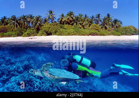 Image fractionnée, île des maldives, plongeur avec une tortue à tête plate (Caretta caretta), Ari Atoll, Maldives, océan Indien, Asie Banque D'Images