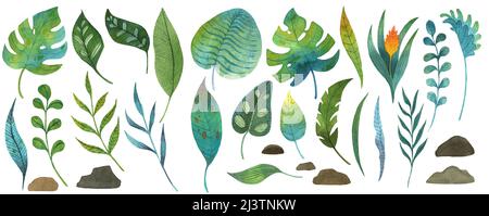 Ensemble de feuilles et de plantes de jungle tropicale aquarelle Banque D'Images