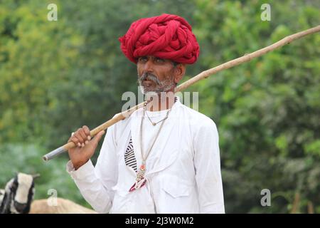 un berger, portant un turban rouge, conduit ses animaux le long de la route pendant l'été Banque D'Images