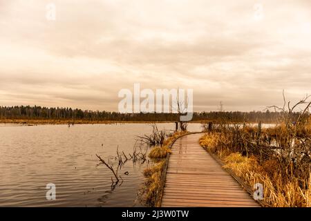 Sur le chemin des jardins de Schwenninger et de sa beauté naturelle - Baden - Württemberg - Allemagne Banque D'Images