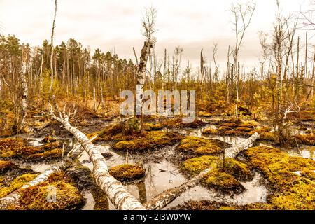 Sur le chemin des jardins de Schwenninger et de sa beauté naturelle - Baden - Württemberg - Allemagne Banque D'Images