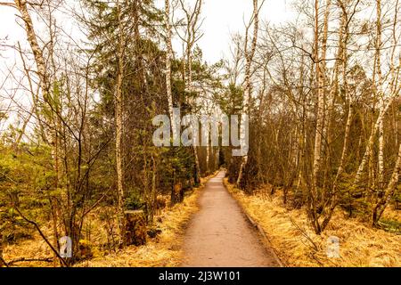 Sur le chemin des jardins de Schwenninger et de sa beauté naturelle - Baden - Württemberg - Allemagne Banque D'Images