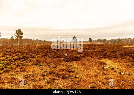 Sur le chemin des jardins de Schwenninger et de sa beauté naturelle - Baden - Württemberg - Allemagne Banque D'Images