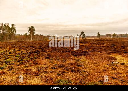 Sur le chemin des jardins de Schwenninger et de sa beauté naturelle - Baden - Württemberg - Allemagne Banque D'Images