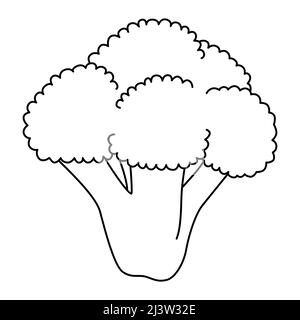 Branche de brocoli dans le style de dessin animé. Illustration vectorielle noir et blanc pour livre de coloriage Illustration de Vecteur