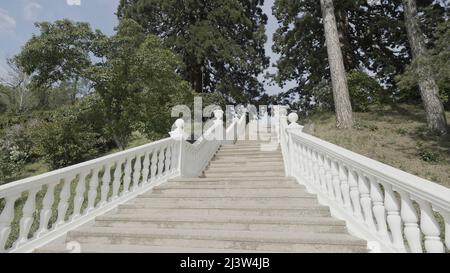Vue du bas de l'escalier magnifique menant aux arbres verts. Action. Paysage d'été avec buissons verts et escalier blanc. Banque D'Images