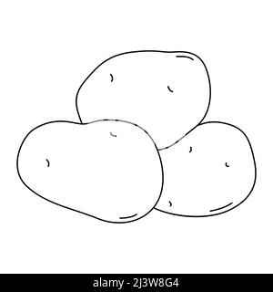 Illustration vectorielle noire et blanche de la pomme de terre pour livre de coloriage. Légumes frais mûrs pour la cuisson, source de vitamines Illustration de Vecteur