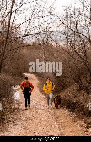 Des amis masculins étonnants et séduisant sont en train de courir avec le chien sur le chemin dans la forêt tout en appréciant leur temps Banque D'Images