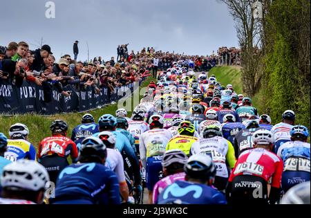 Rotterdam, pays-Bas. 10th avril 2022. GULPEN - le peloton grimpe le Gulperberg lors de la course d'or Amstel 56th 2022 le 10 avril 2022 à Maastricht, aux pays-Bas. ANP VINCENT JANNINK crédit: ANP/Alay Live News Banque D'Images