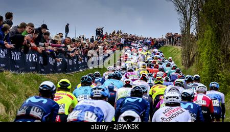 Rotterdam, pays-Bas. 10th avril 2022. GULPEN - le peloton grimpe le Gulperberg lors de la course d'or Amstel 56th 2022 le 10 avril 2022 à Maastricht, aux pays-Bas. ANP VINCENT JANNINK crédit: ANP/Alay Live News Banque D'Images