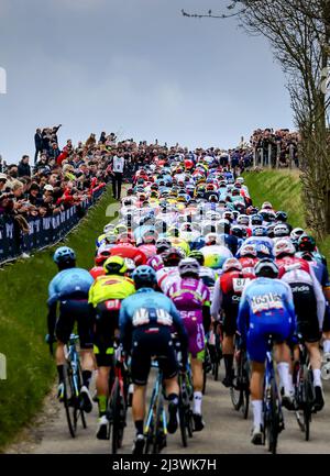 Rotterdam, pays-Bas. 10th avril 2022. GULPEN - le peloton grimpe le Gulperberg lors de la course d'or Amstel 56th 2022 le 10 avril 2022 à Maastricht, aux pays-Bas. ANP VINCENT JANNINK crédit: ANP/Alay Live News Banque D'Images