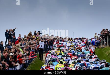 Rotterdam, pays-Bas. 10th avril 2022. GULPEN - le peloton grimpe le Gulperberg lors de la course d'or Amstel 56th 2022 le 10 avril 2022 à Maastricht, aux pays-Bas. ANP VINCENT JANNINK crédit: ANP/Alay Live News Banque D'Images