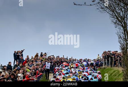 Rotterdam, pays-Bas. 10th avril 2022. GULPEN - le peloton grimpe le Gulperberg lors de la course d'or Amstel 56th 2022 le 10 avril 2022 à Maastricht, aux pays-Bas. ANP VINCENT JANNINK crédit: ANP/Alay Live News Banque D'Images