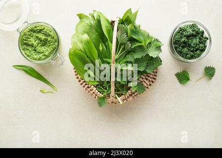 Alimentation saine de printemps. Pesto d'ortie et de ramson pour un repas sain sur fond gris Banque D'Images