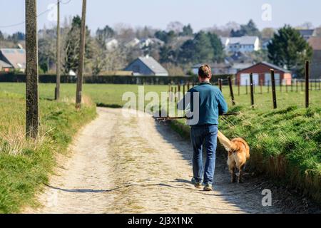 Walker dans la campagne avec son chien | Monsieur avec son chien dans la campagne Banque D'Images