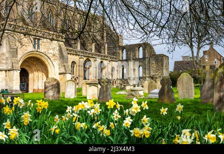 Abbaye de Malmesbury, Wiltshire au soleil du début du printemps Banque D'Images