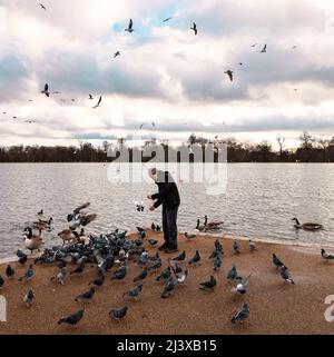 Homme nourrissant des canards et des oies près du Round Pond de Kensington Gardens, Londres, entouré d'une avalanche d'oiseaux excités contre un paysage de nuages spectaculaires Banque D'Images