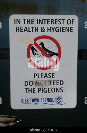 ne pas insérer l'affiche de pigeons Banque D'Images